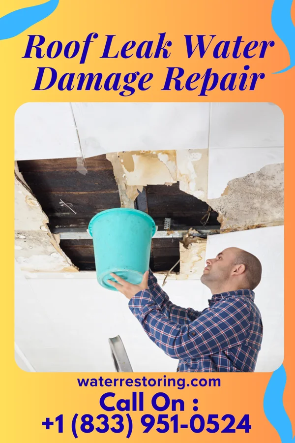 Roof Leak Water Damage Repair in Wrenshall, MN